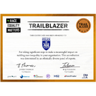TVP Race Equality Matters Trailblazer Bronze status Certificate