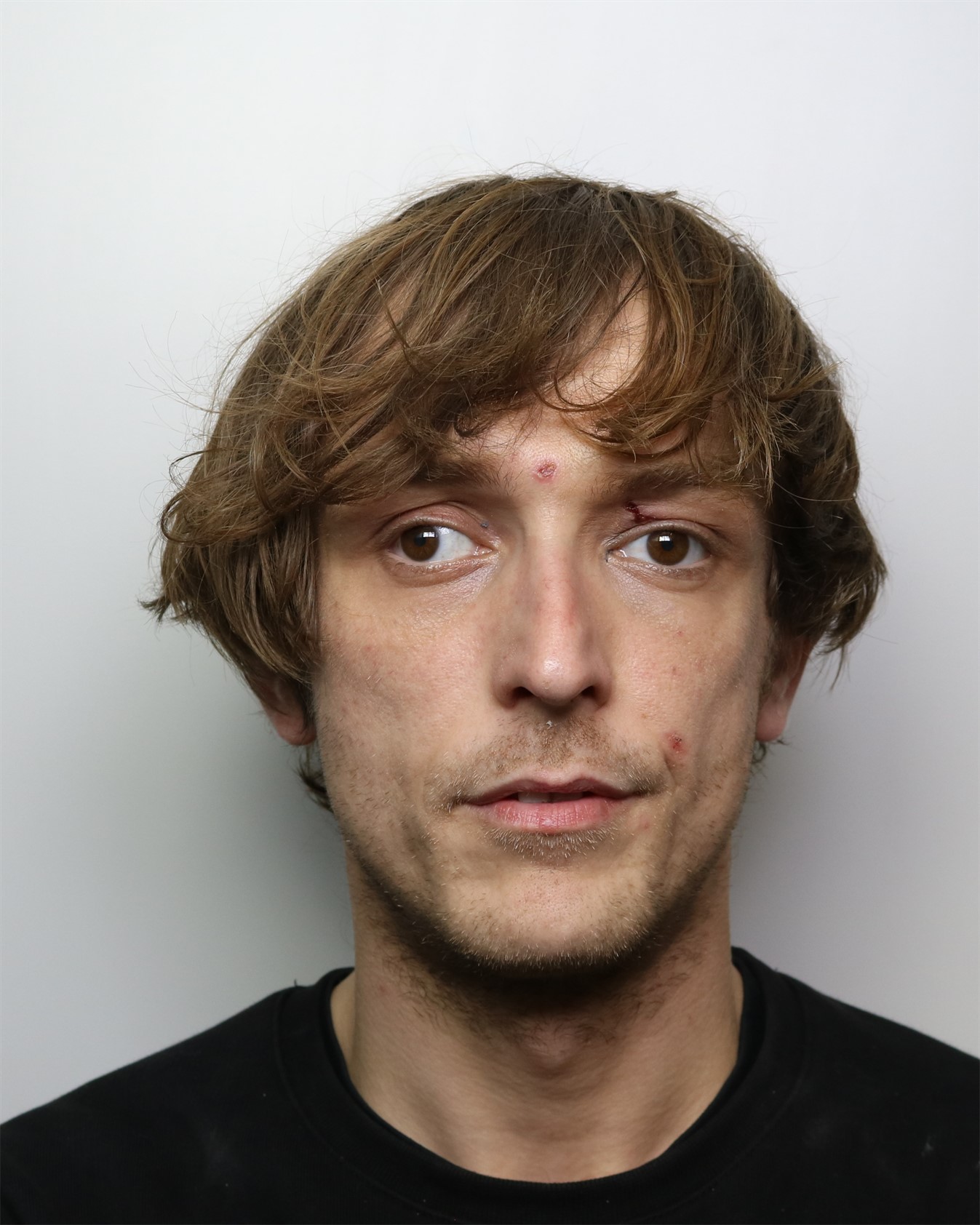 Shane King 